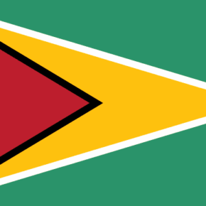 Guyana flag