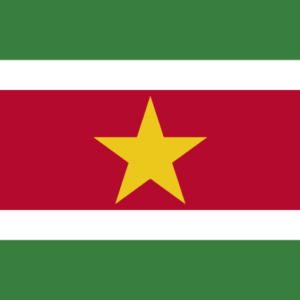 Suriname flag