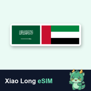 サウジ・UAE (フルスピードデータ使い切りプラン)