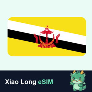 Xiao Long eSIM