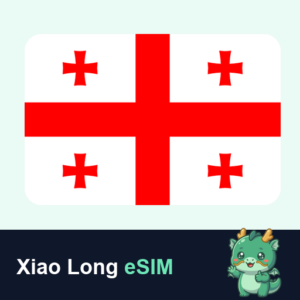 Xiao Long eSIM