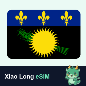 Xiao Long eSIM