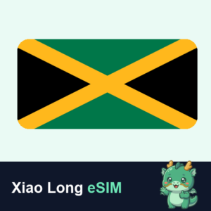 Xiao Long eSIM
