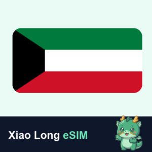 Xiao Long eSIM