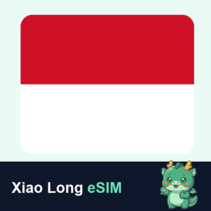 Xiao Long eSIM