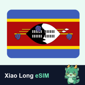 Xiao Long eSIM