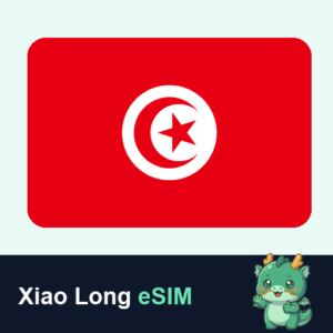 Xiao Long eSIM