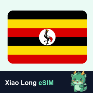 Xiao Long eSIM