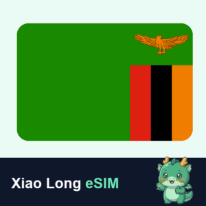 Xiao Long eSIM